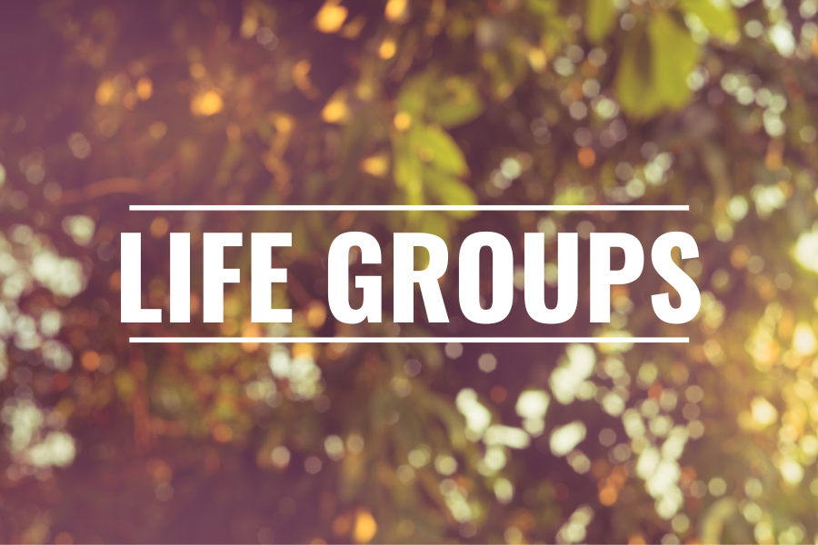 life groups