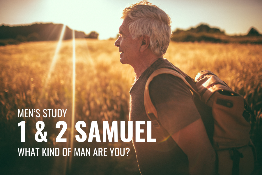 mens study