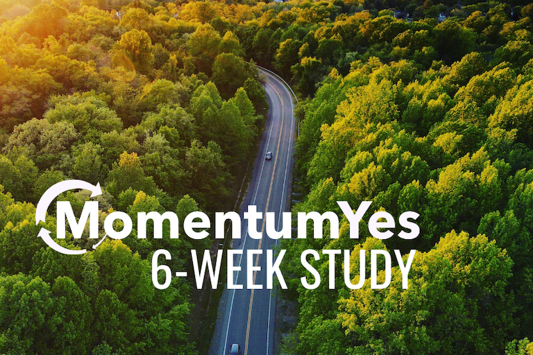 momentum yes