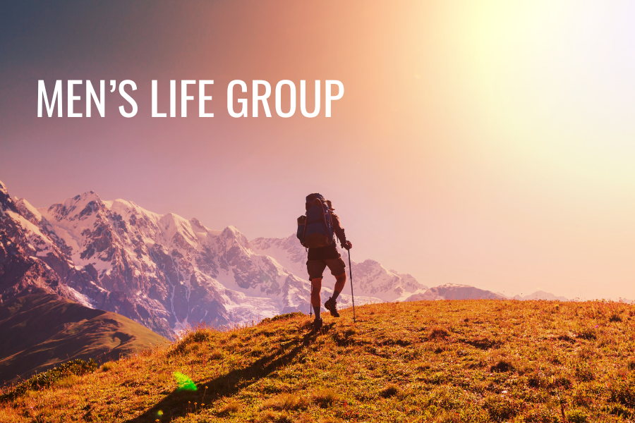 mens life group