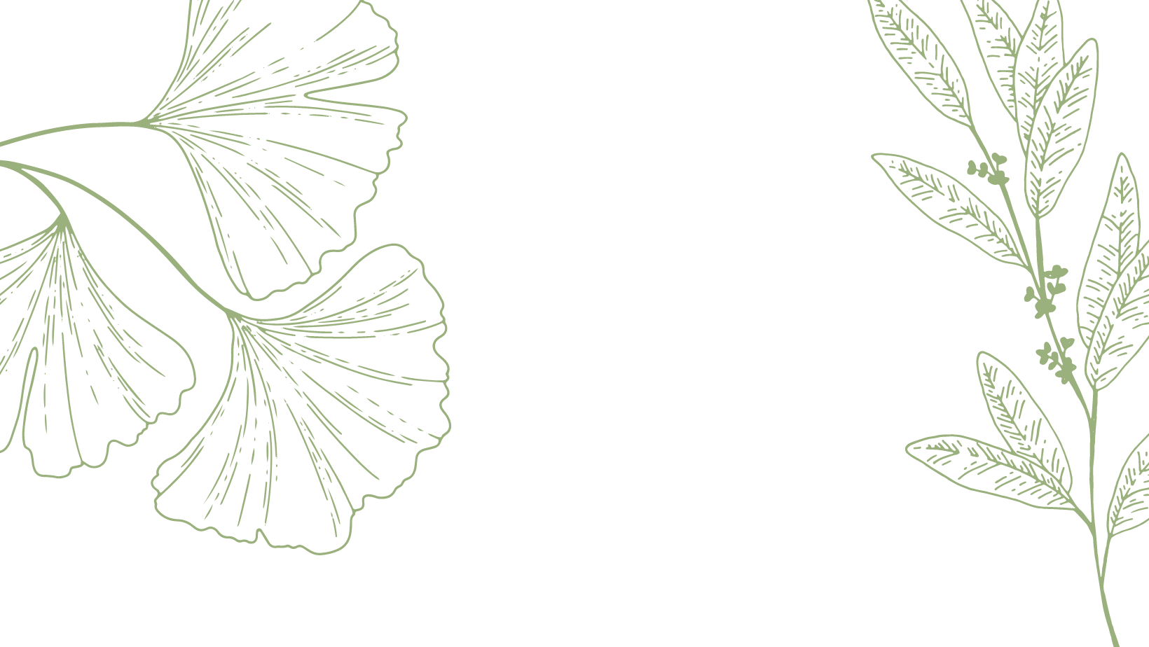revive banner